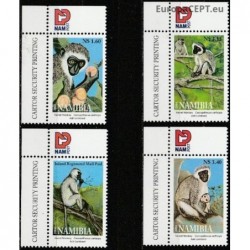 Namibia 2004. Monkeys