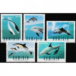 Namibia 2006. Dolphins