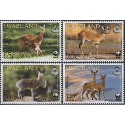 Svazilendas 2001. Mažosios antilopės (aurebijos)
