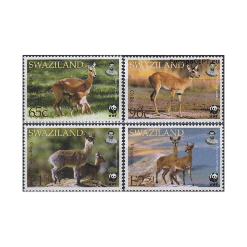 Svazilendas 2001. Mažosios antilopės (aurebijos)