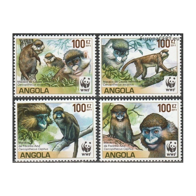 Angola 2011. Beždžionės (makakos)