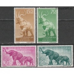 Spanish Guinea 1957. Elephants