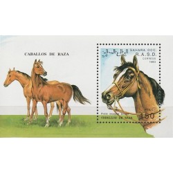 Western Sahara 1993. Horses
