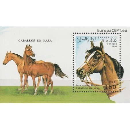 Western Sahara 1993. Horses