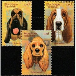 Togo 2002. Dogs