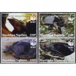 Togo 2006. Turtles