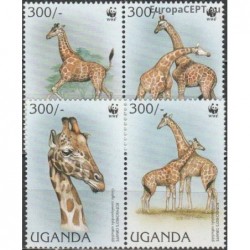 Uganda 1997. Žirafos