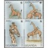 Uganda 1997. Giraffe