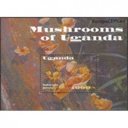 Uganda 2002. Mushrooms