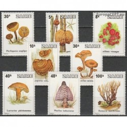 Zaire 1979. Mushrooms