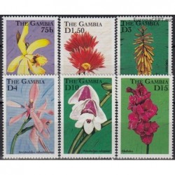 Gambija 1998. Gėlės