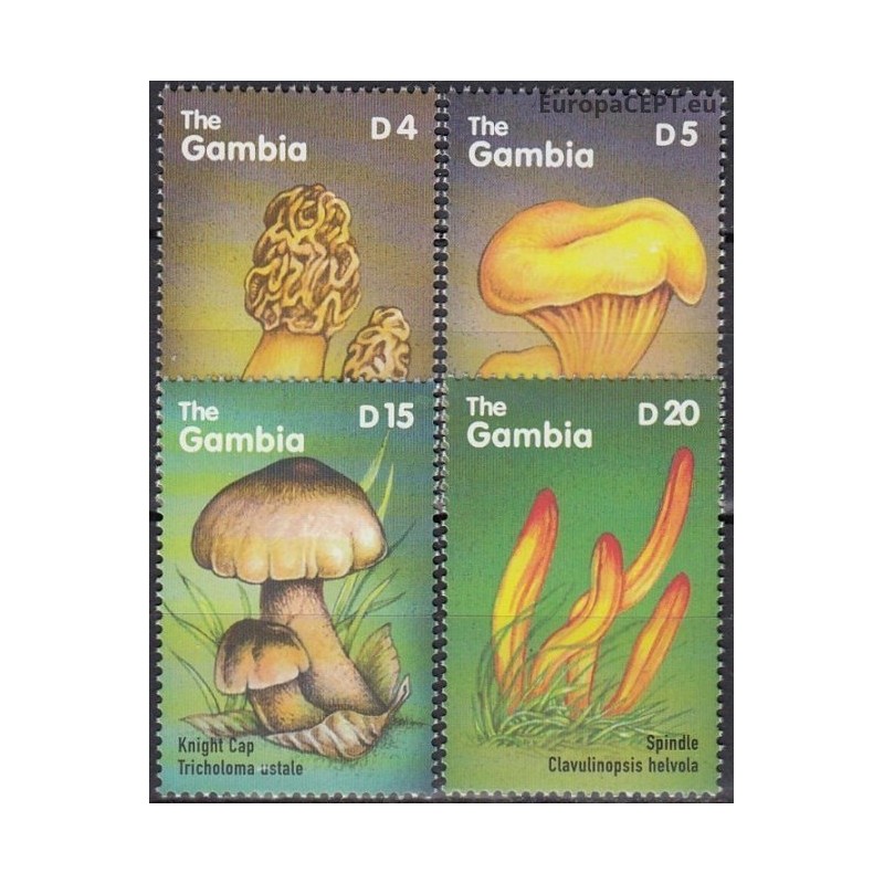 Gambia 2000. Mushrooms