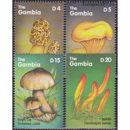 Gambija 2000. Grybai