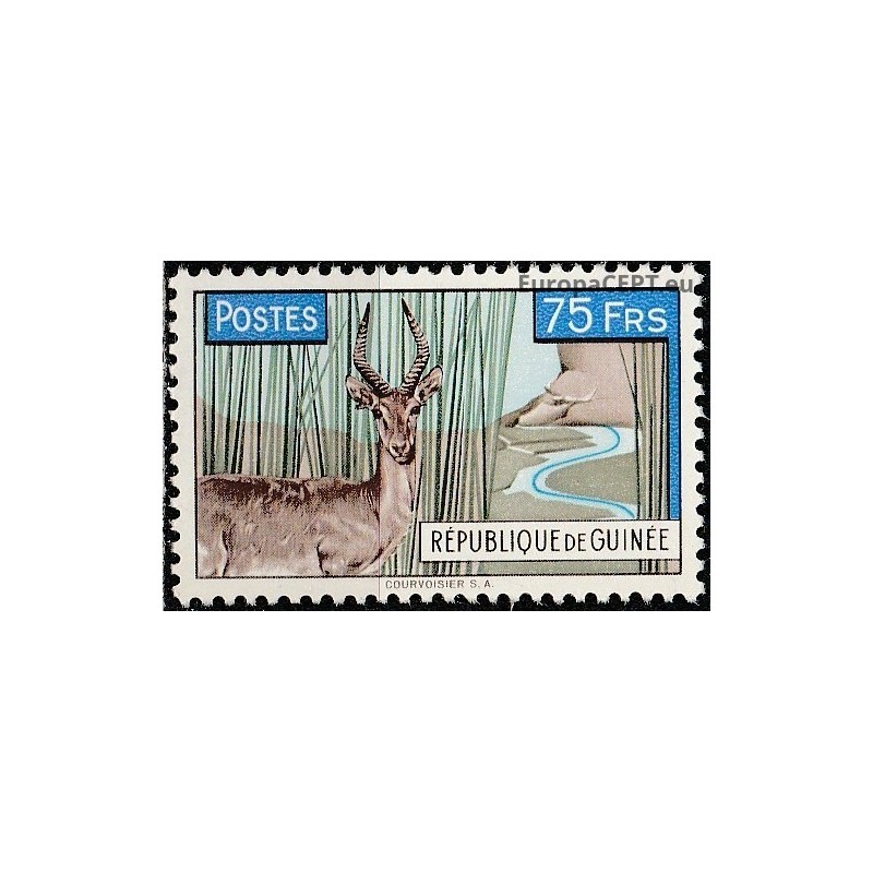 Guinea 1961. Bohor reedbuck (antelope)