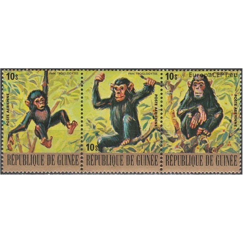 Gvinėja 1977. Šimpanzės