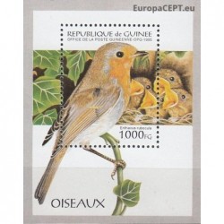 Guinea 1995. Birds