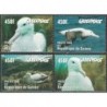 Guinea 1998. Marine birds (Greenpeace)