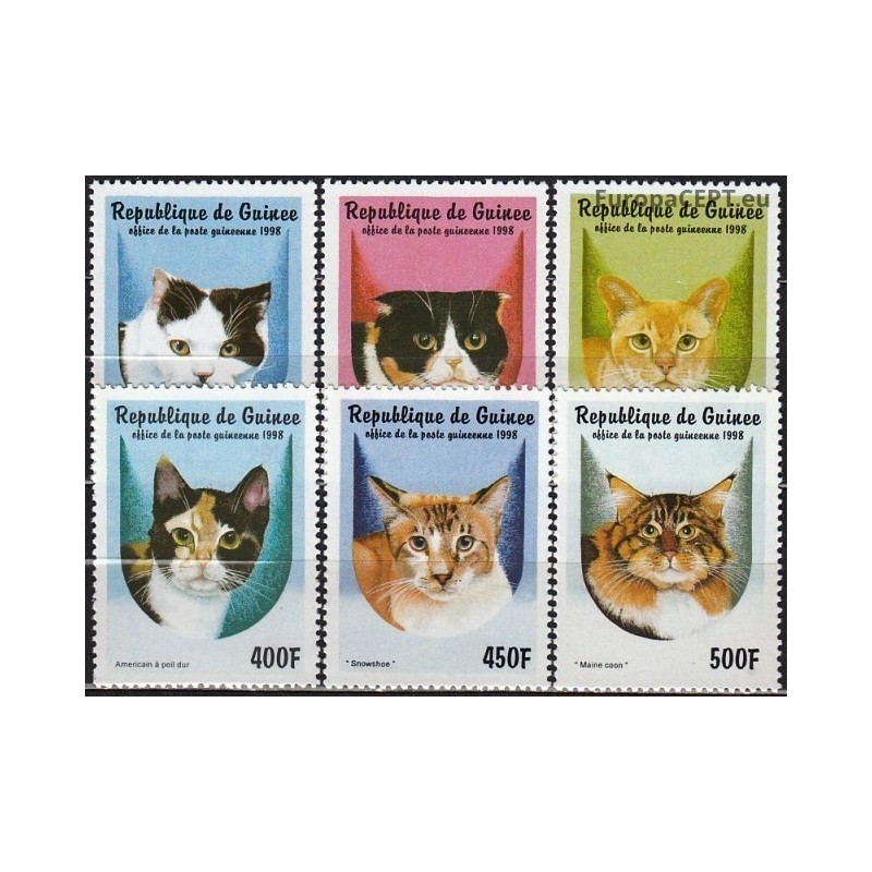 Gvinėja 1998. Katės