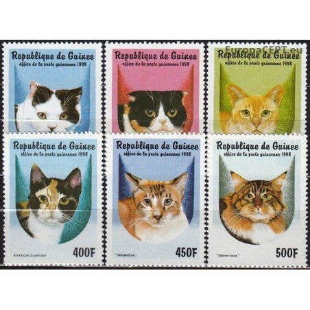 Guinea 1998. Cats