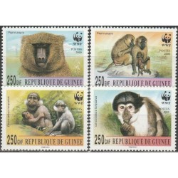 Gvinėja 2000. Beždžionės
