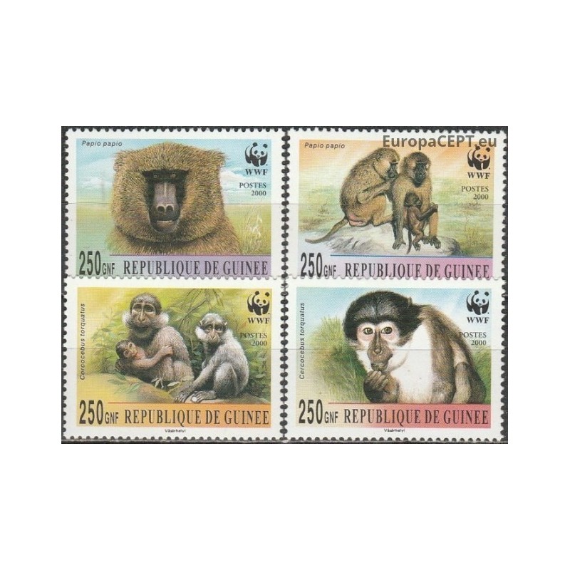 Gvinėja 2000. Beždžionės