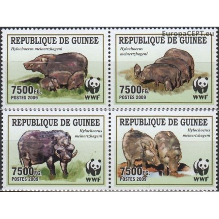 Guinea 2009. WWF Wild Boar