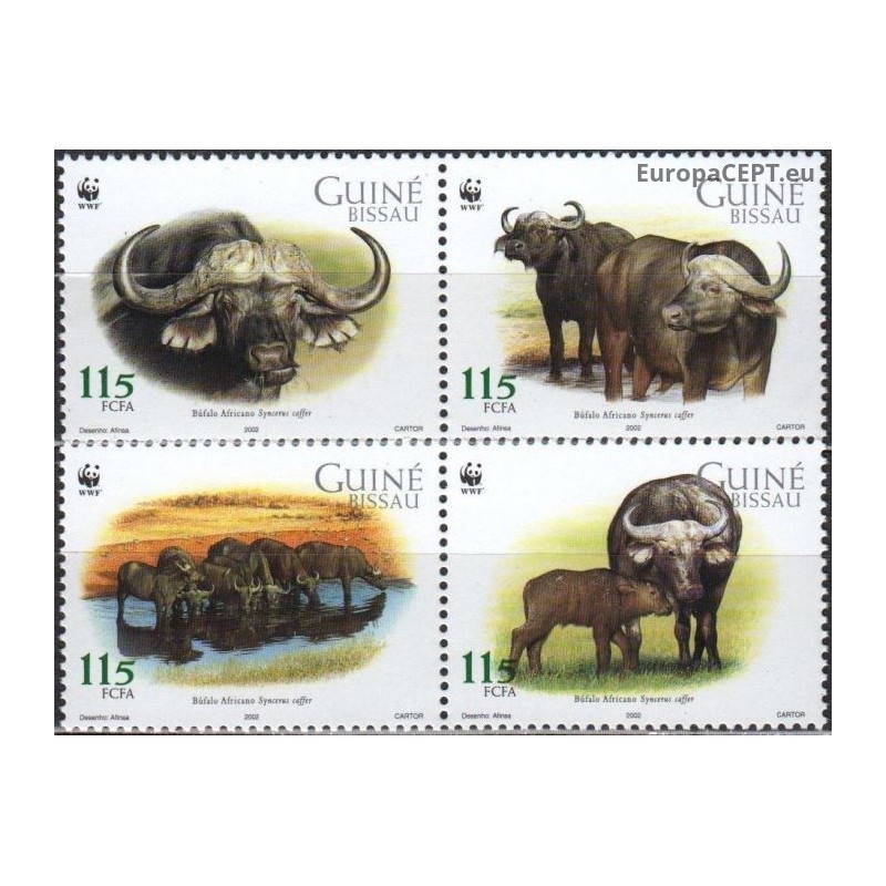 Bisau Gvinėja 2002. Afrikos buivolai