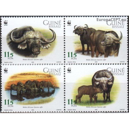 Bisau Gvinėja 2002. Afrikos buivolai
