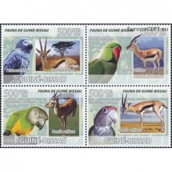 Guinea-Bissau 2008. Parrots and gazelles