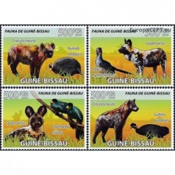 Guinea-Bissau 2008. Hyenas and birds
