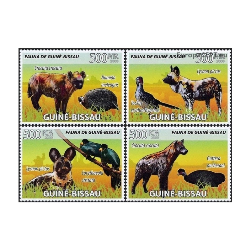Guinea-Bissau 2008. Hyenas and birds