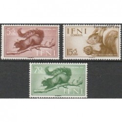 Ifni 1955. Squirrels