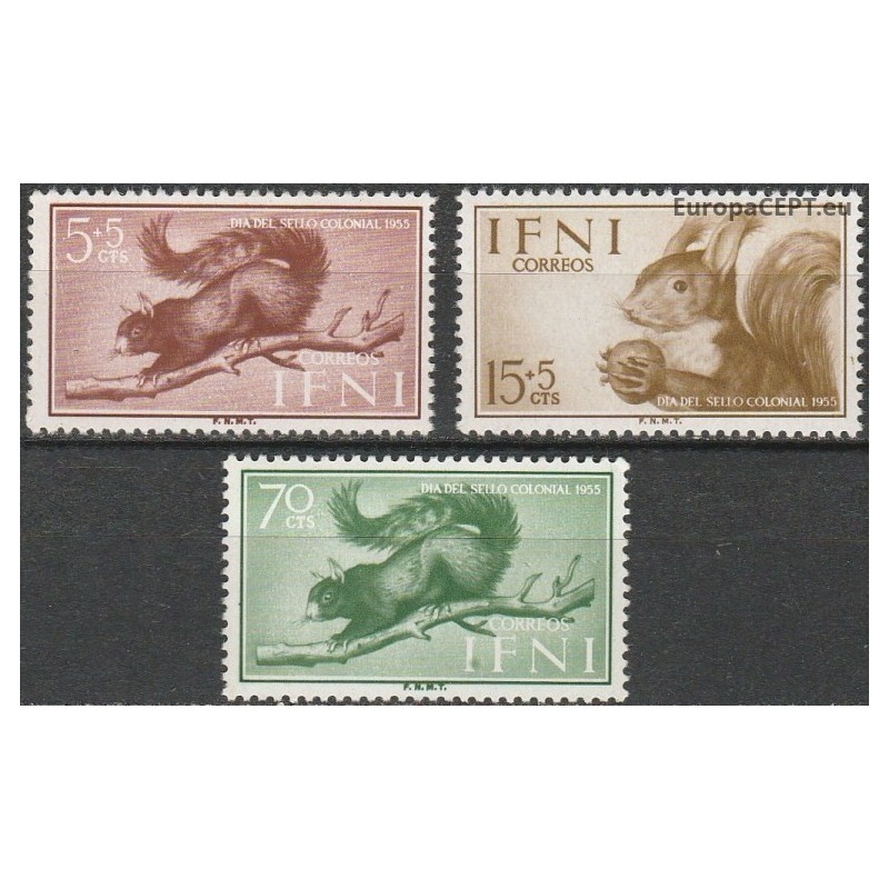Ifni 1955. Squirrels