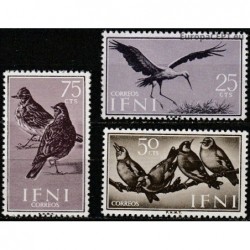 Ifni 1960. Birds