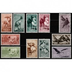 Ifnis 1959-60. Fauna