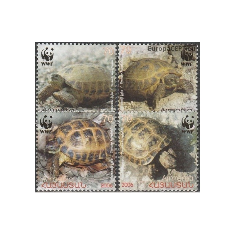Armenia 2007. Turtles