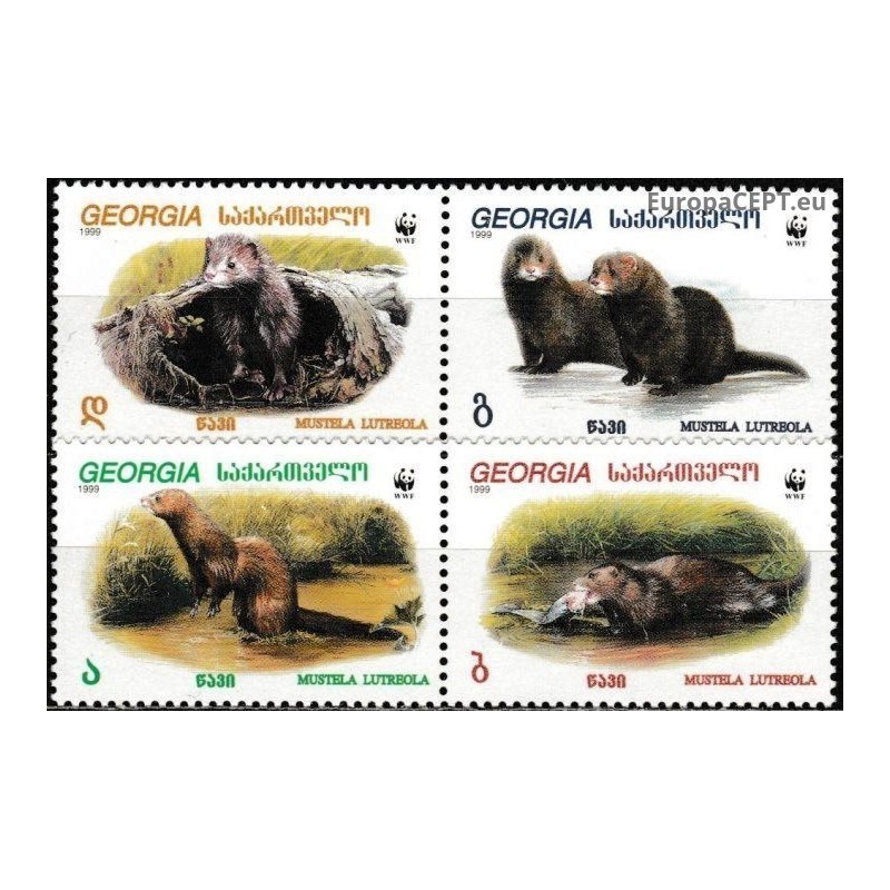 Georgia 1999. European mink