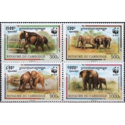 Cambodia 1997. Elephants