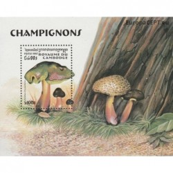 Cambodia 1997. Mushrooms