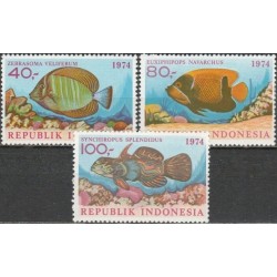 Indonezija 1974. Žuvys