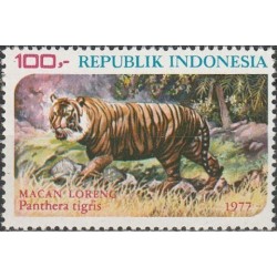 Indonesia 1977. Tiger...