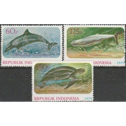Indonesia 1979. Environment...