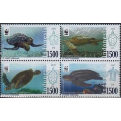 Indonesia 2010. Turtles
