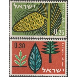 Izraelis 1961. Medžiai