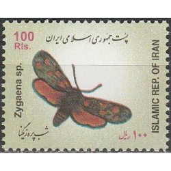 Persia 2003. Butterfly