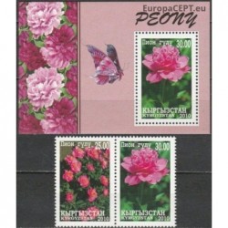 Kirgizija 2010. Gėlės (bijūnai)