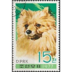 Korea 1977.  Dog