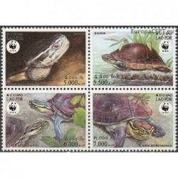 Laos 2004. Amboina box turtle