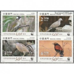Macau 2011. Birds