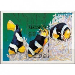 Maldives 1993. Fishes
